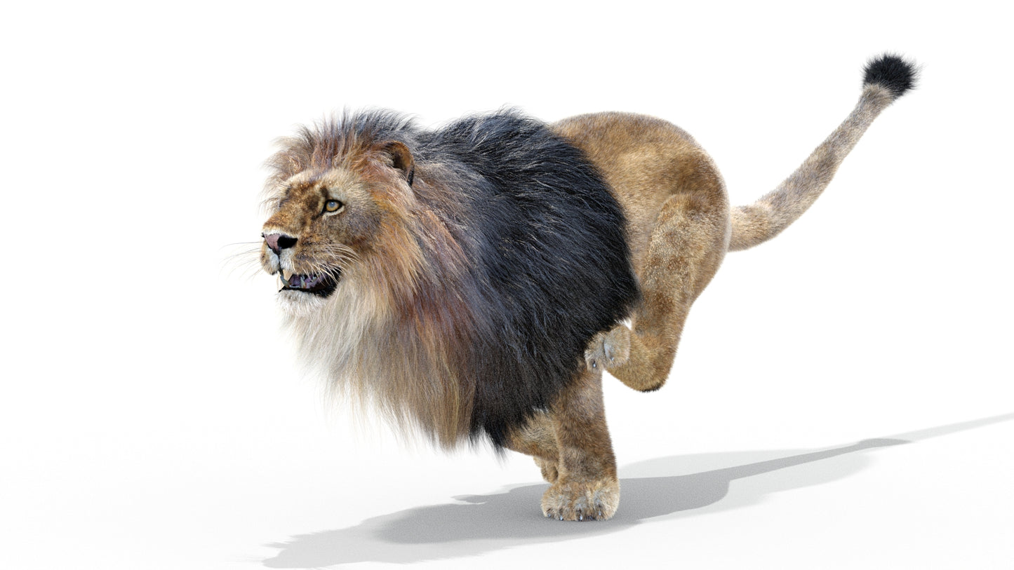 Animated Lion 3D Model with Fur