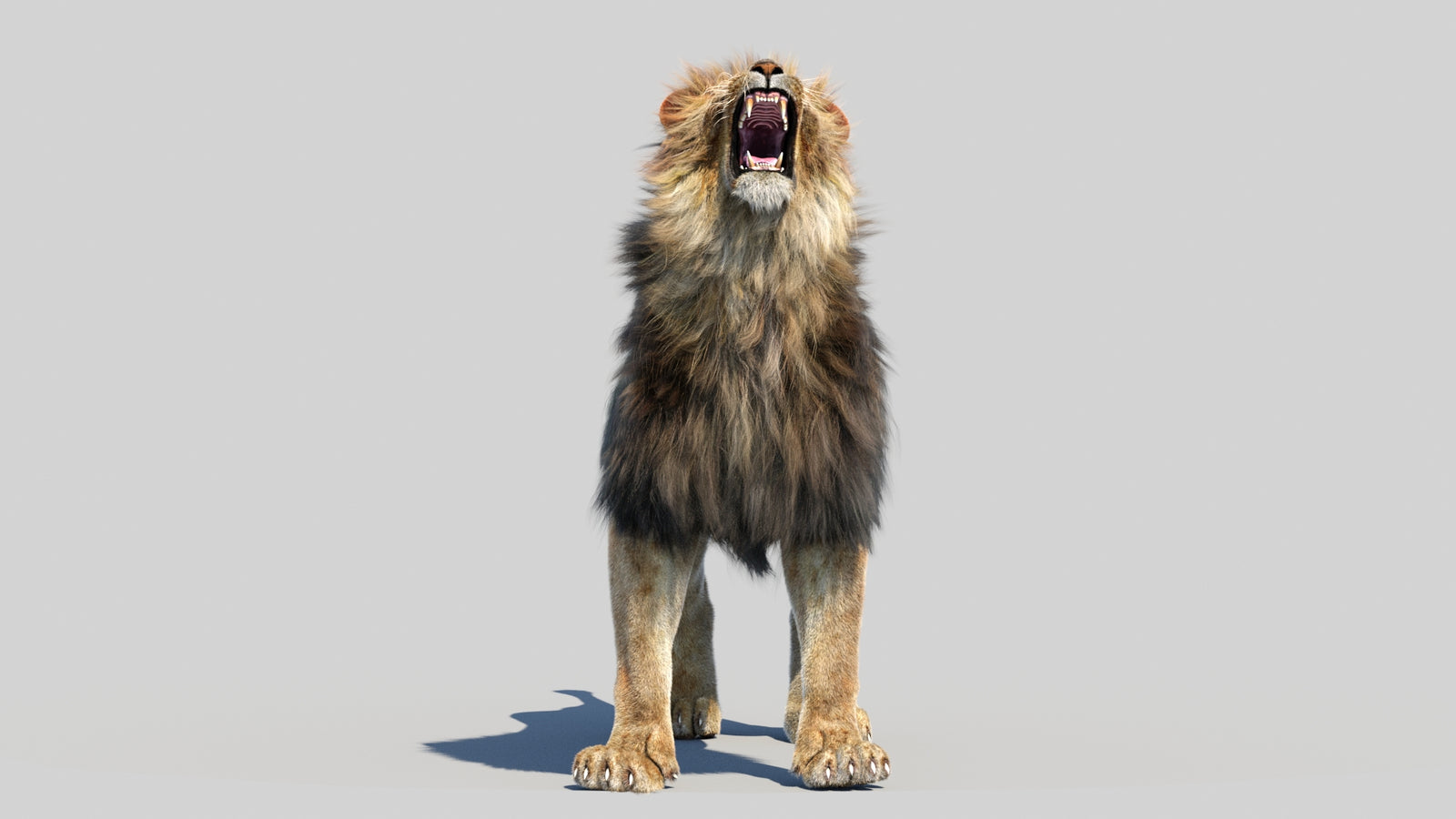Animated Lion 3D Model Fur 360° view 6 frame 26