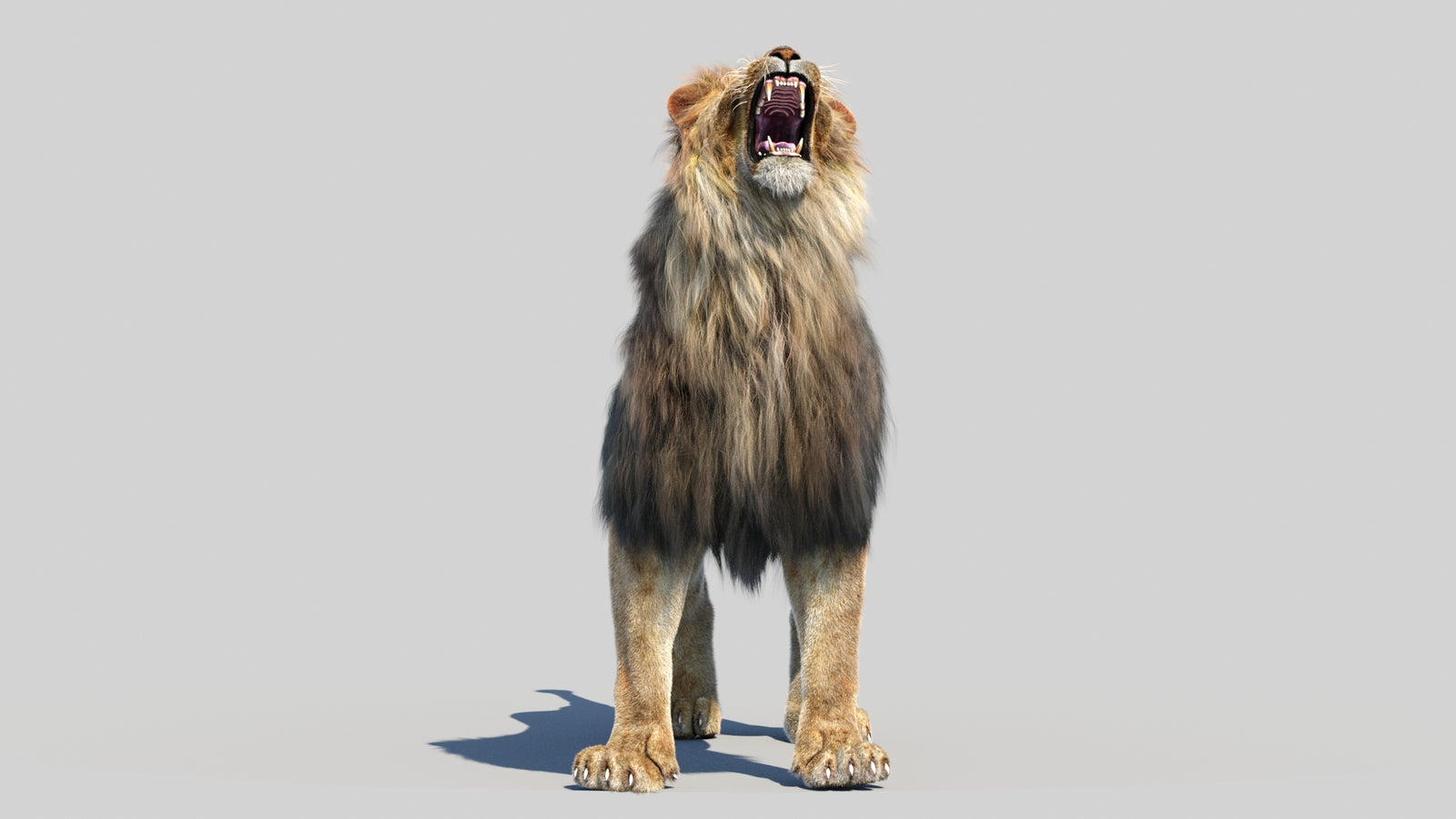 Animated Lion 3D Model Fur 360° view 6 frame 32