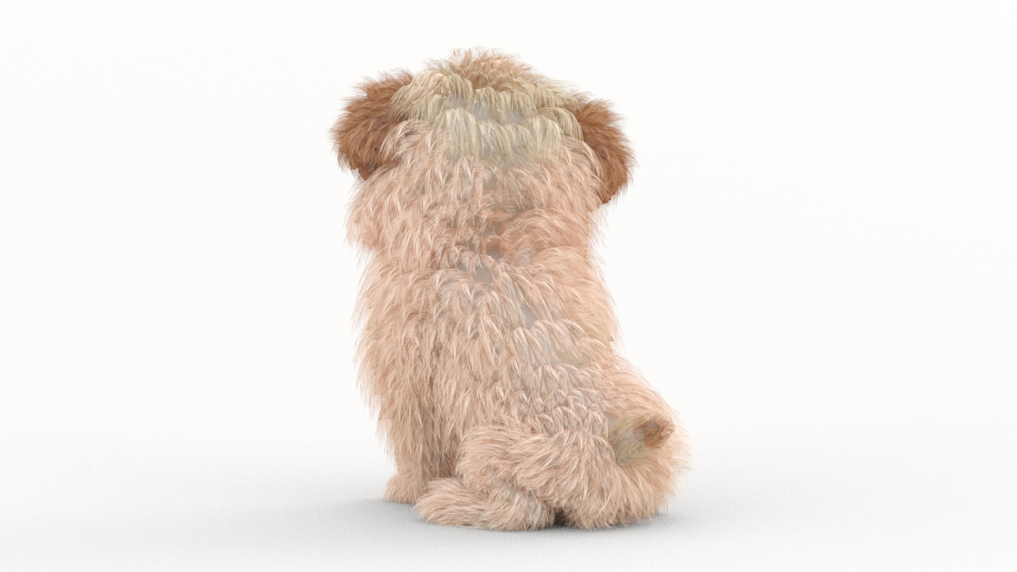 Rigged Maltipoo Dog Puppy Polygonal Fur 3D Model