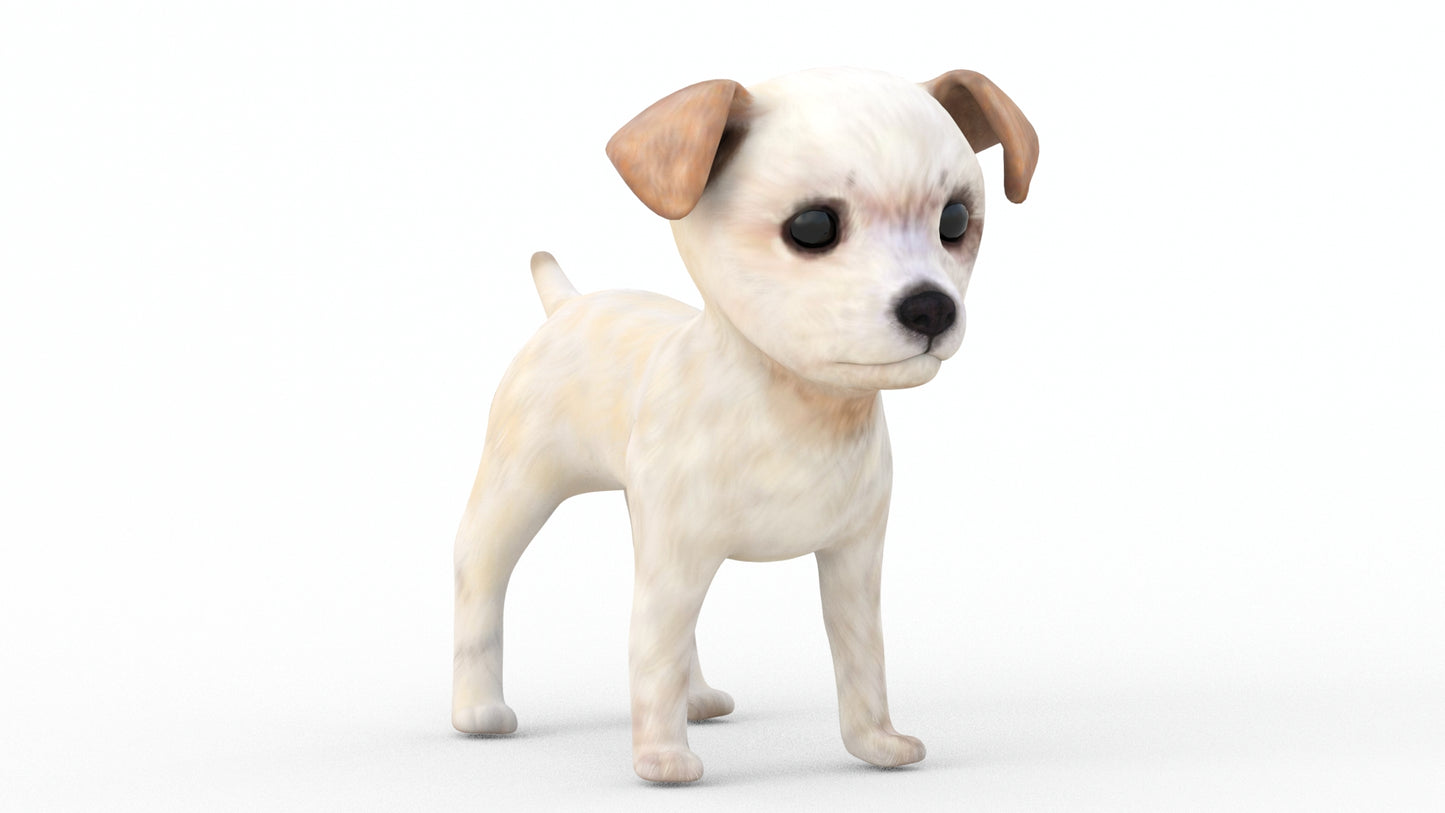 Rigged Maltipoo Dog Puppy Polygonal Fur 3D Model