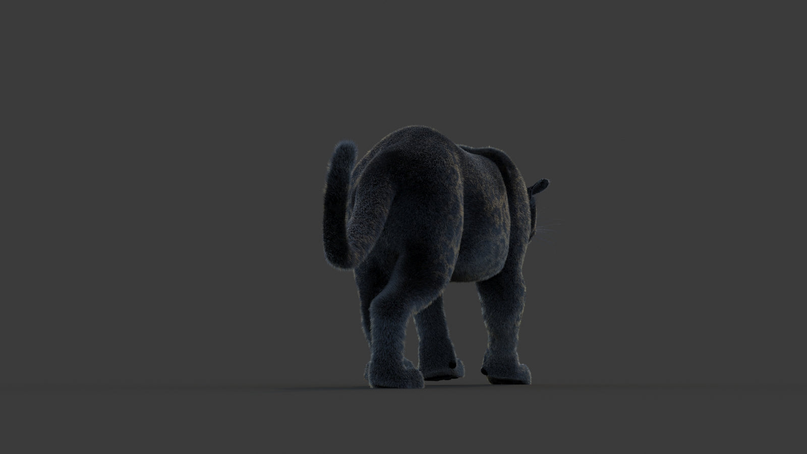 Animated Black Panther Animal 3D Model with Fur 360° view 1 frame 16