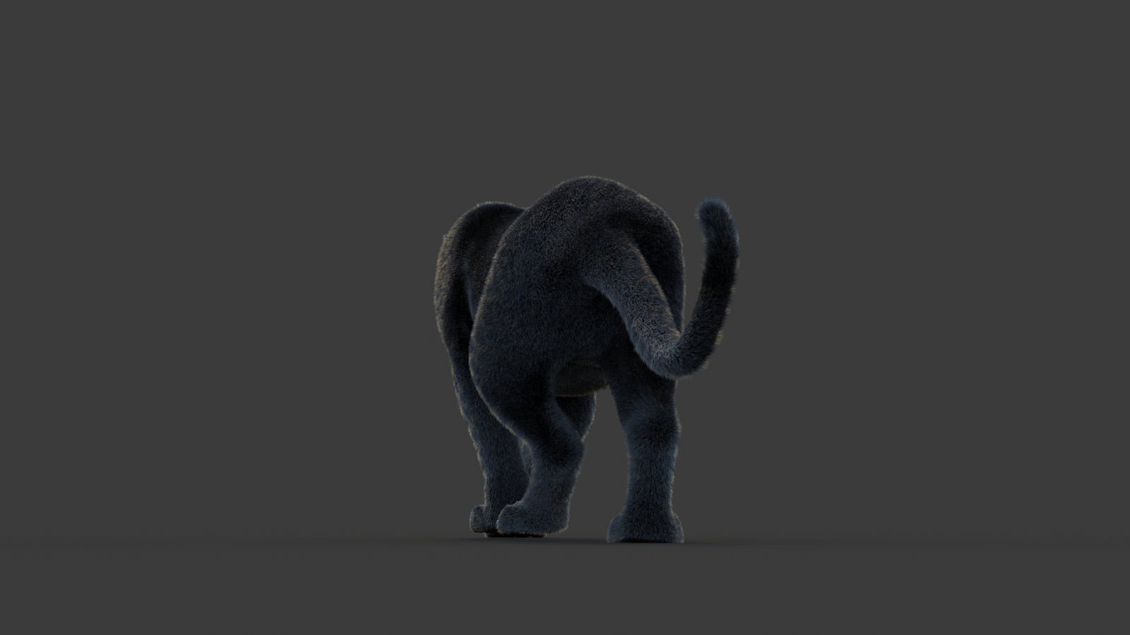 Animated Black Panther Animal 3D Model with Fur 360° view 1 frame 19