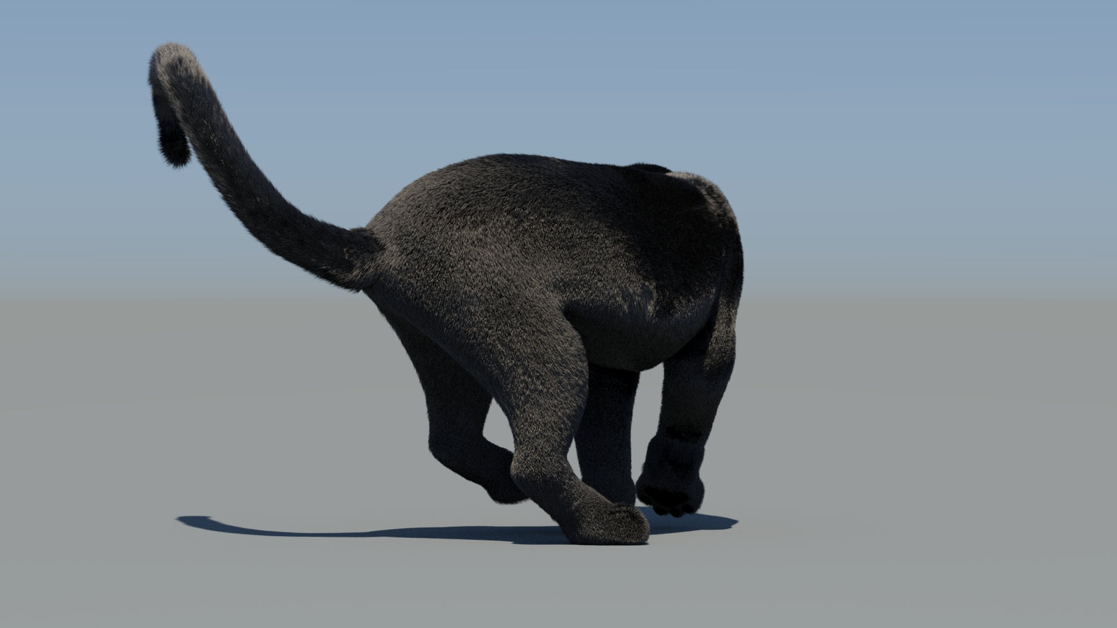 Animated Black Panther 3D Model Fur 360° view 6 frame 64