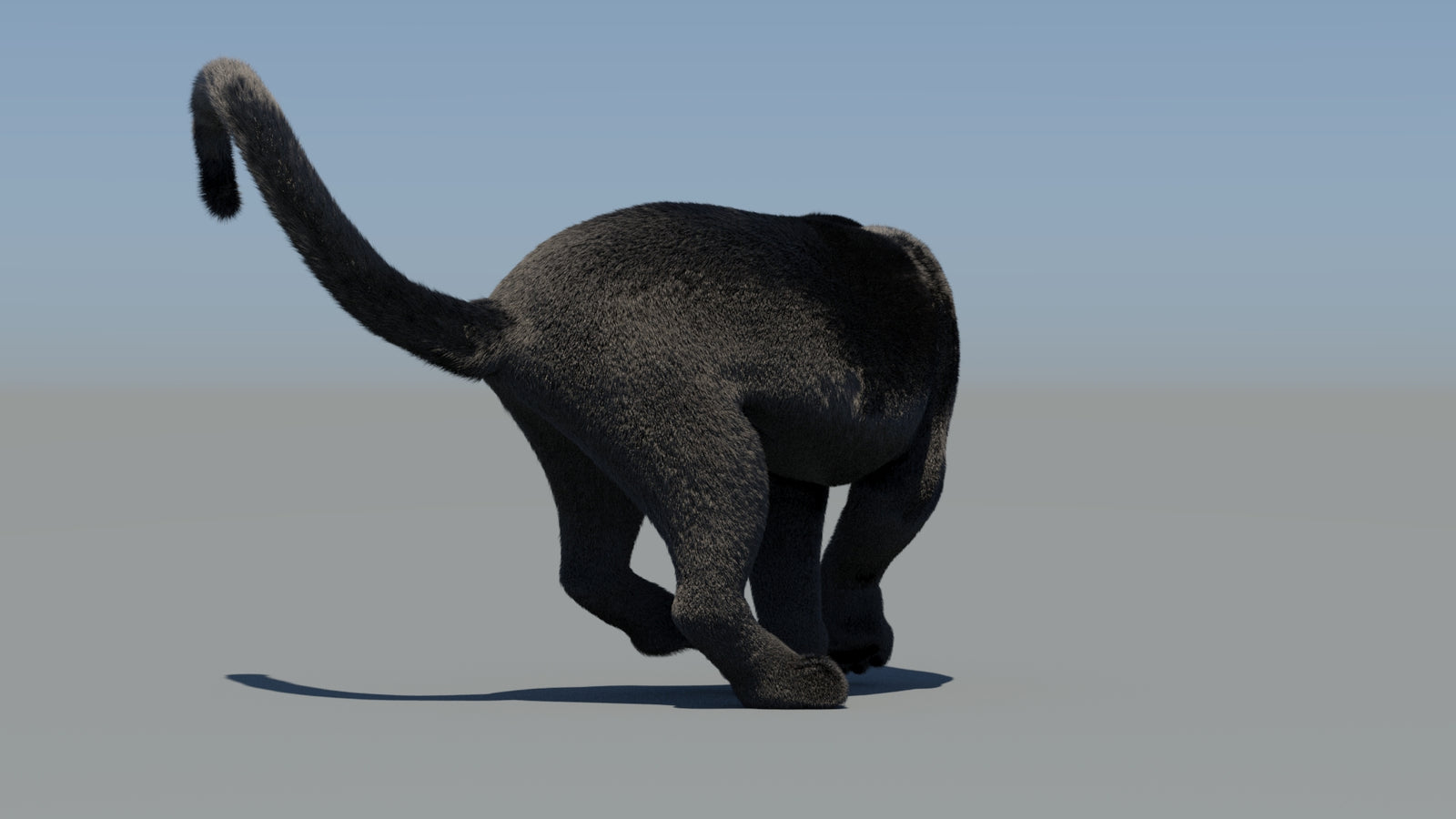 Animated Black Panther 3D Model Fur 360° view 6 frame 65