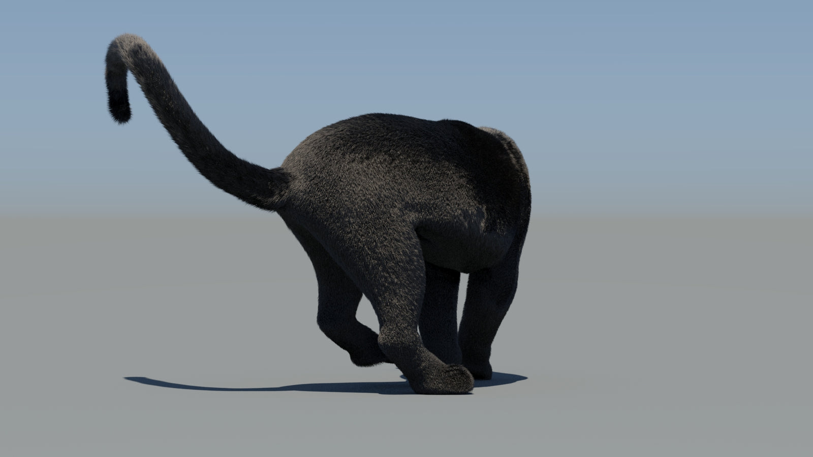 Animated Black Panther 3D Model Fur 360° view 6 frame 66