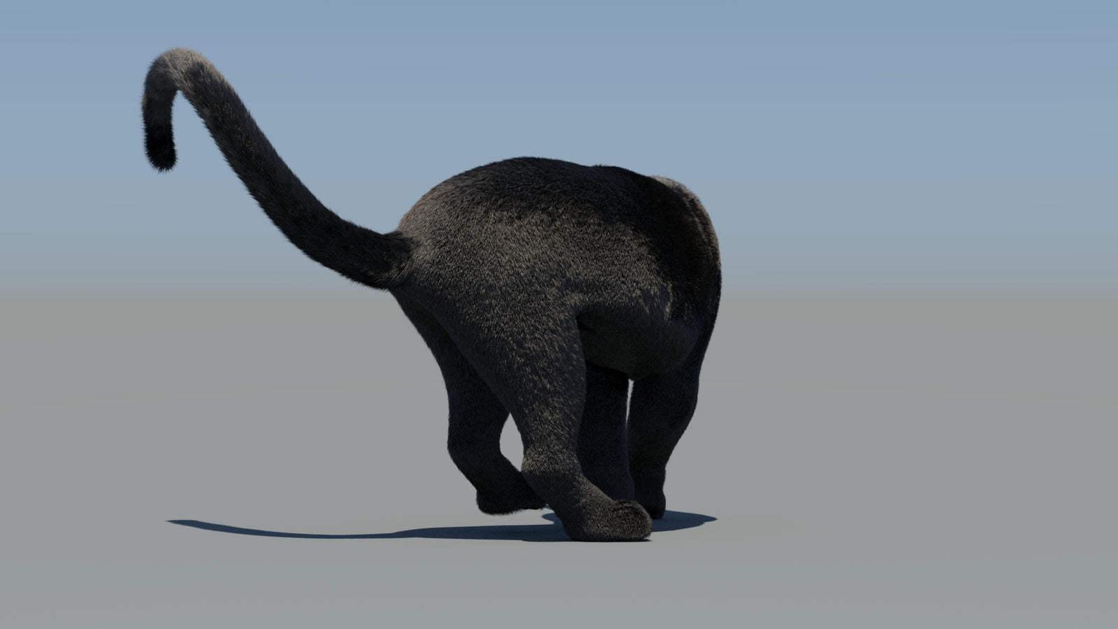 Animated Black Panther 3D Model Fur 360° view 6 frame 67