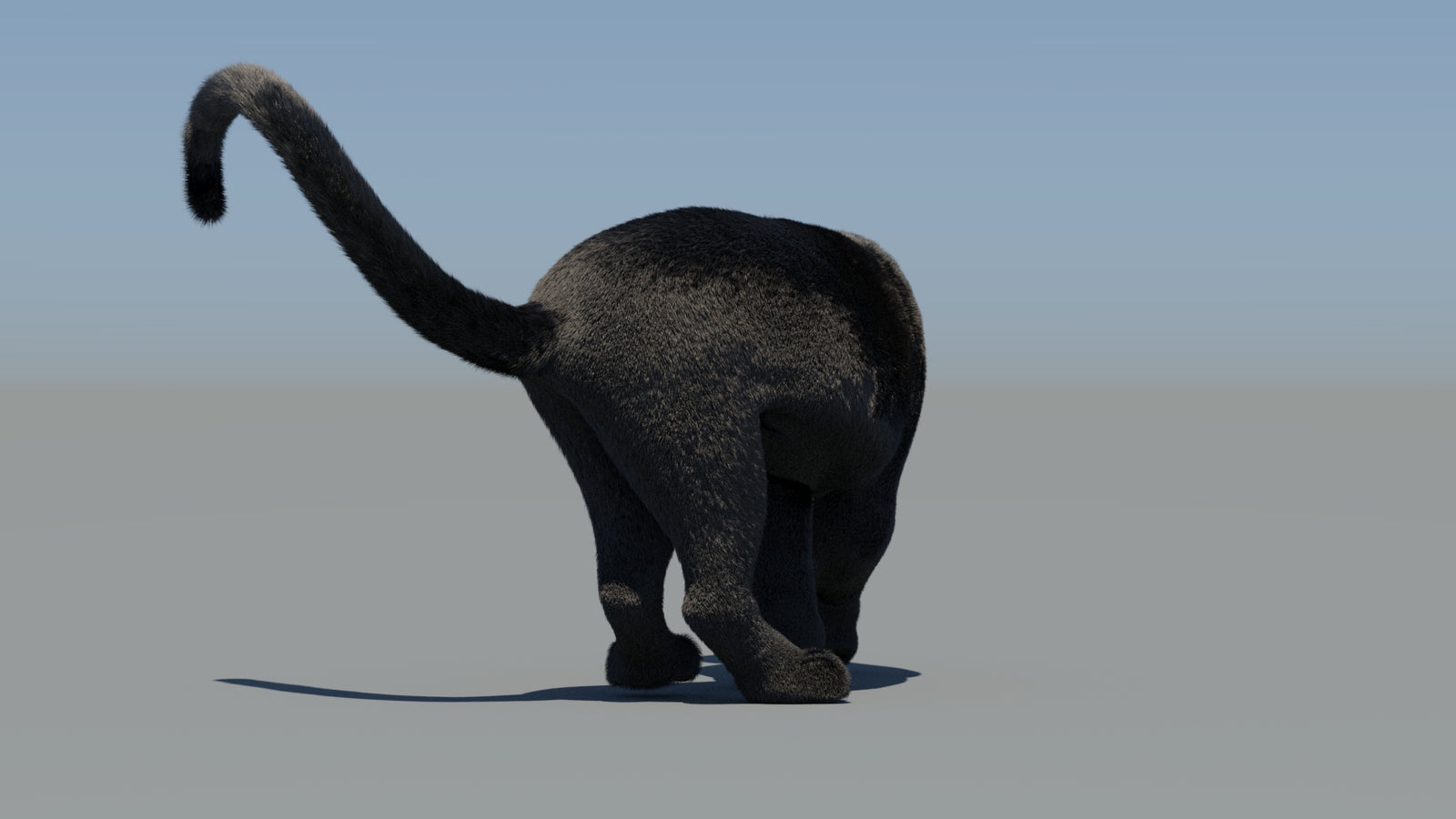 Animated Black Panther 3D Model Fur 360° view 6 frame 68