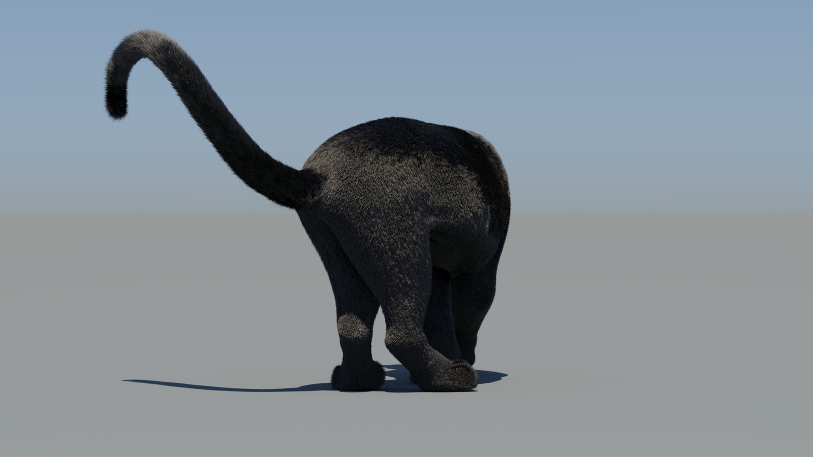 Animated Black Panther 3D Model Fur 360° view 6 frame 69