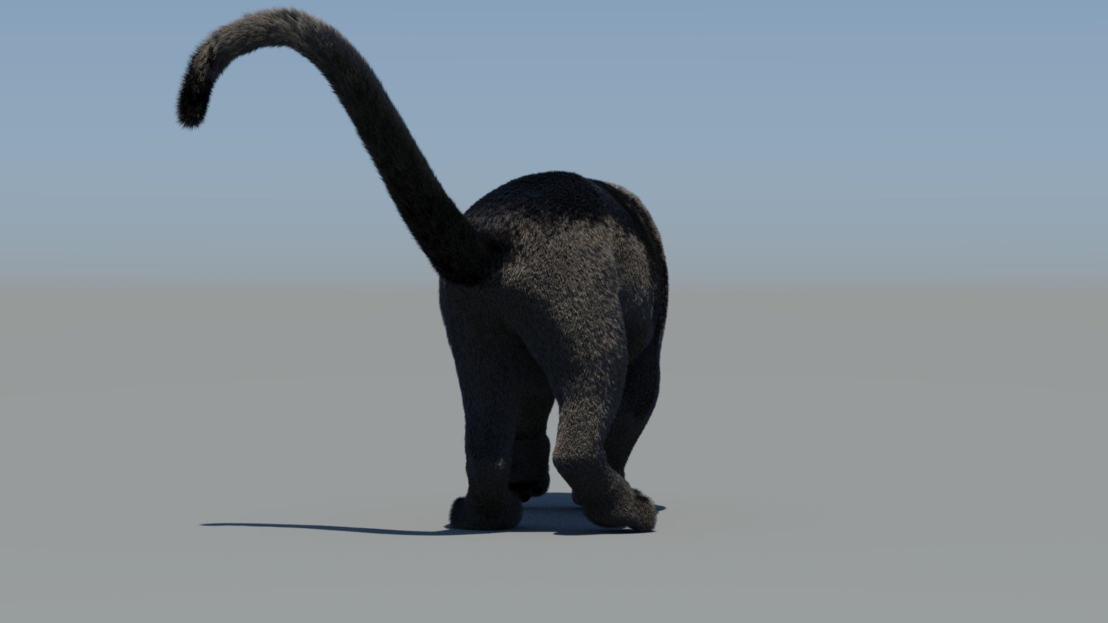 Animated Black Panther 3D Model Fur 360° view 6 frame 72