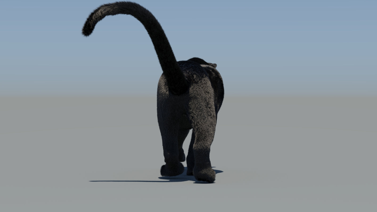 Animated Black Panther 3D Model Fur 360° view 6 frame 5