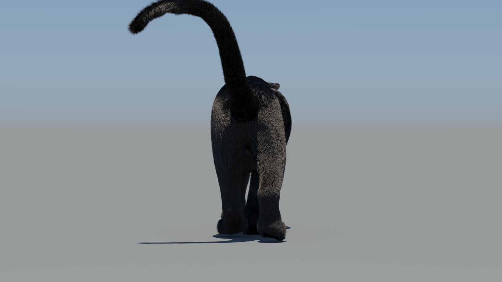 Animated Black Panther 3D Model Fur 360° view 6 frame 7