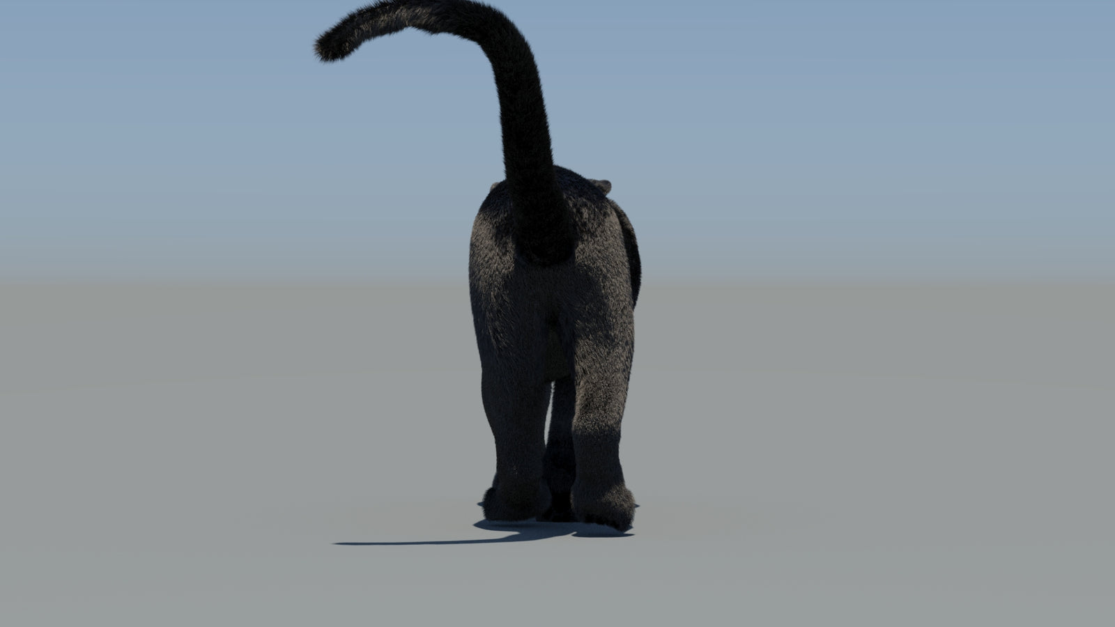 Animated Black Panther 3D Model Fur 360° view 6 frame 8