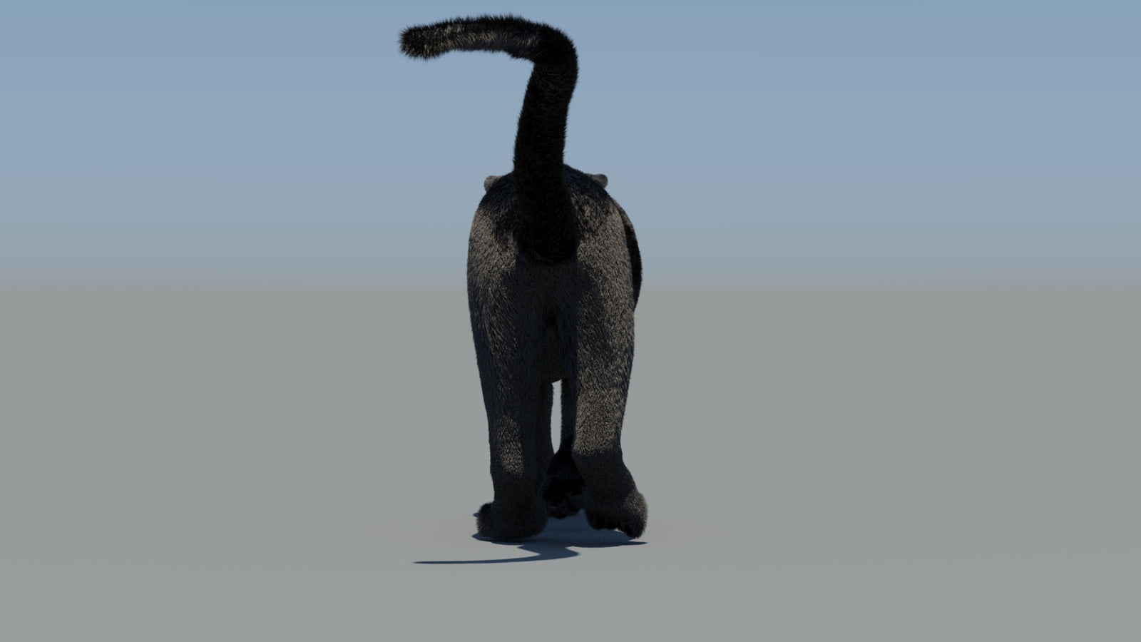 Animated Black Panther 3D Model Fur 360° view 6 frame 10