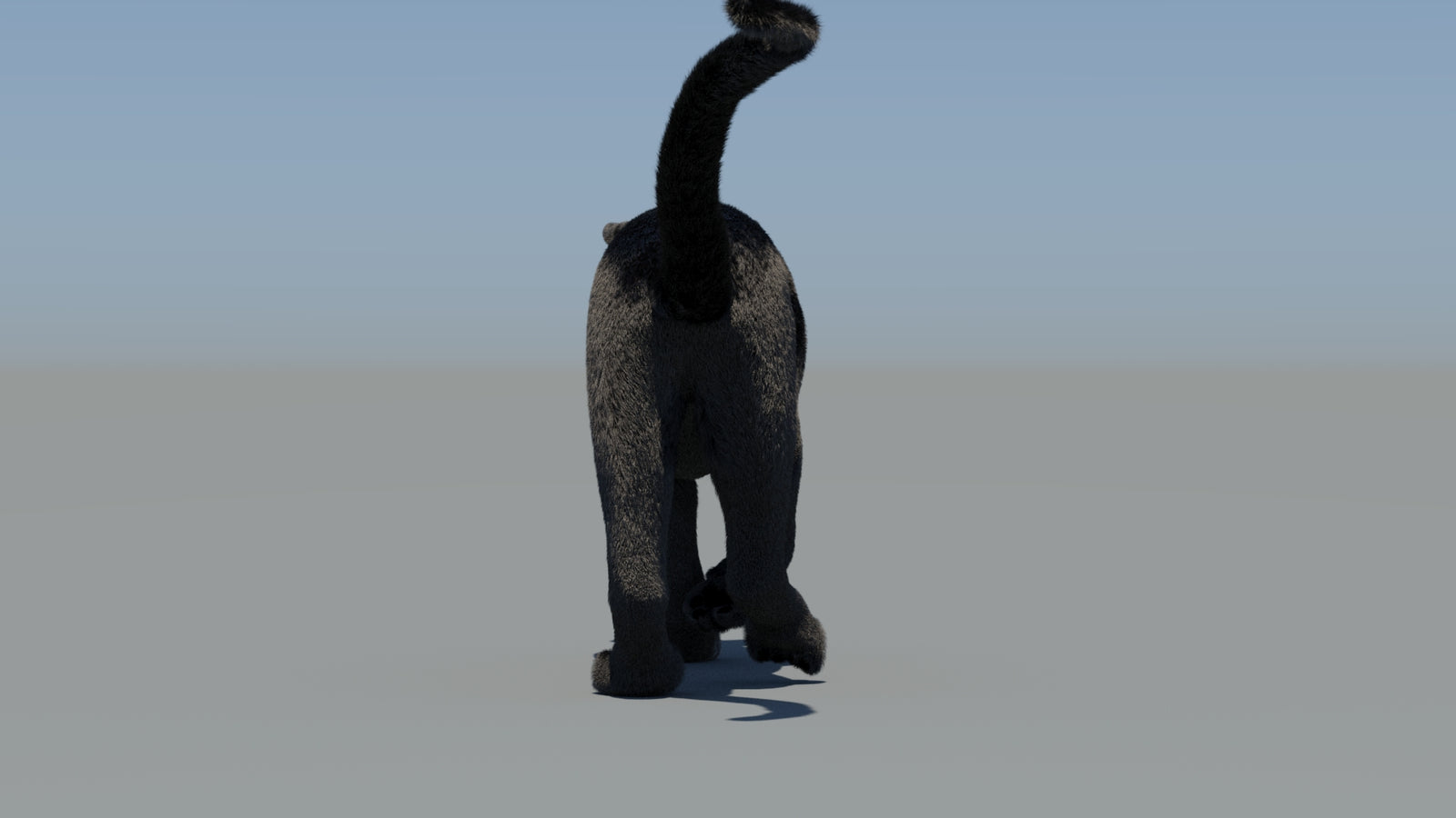 Animated Black Panther 3D Model Fur 360° view 6 frame 13