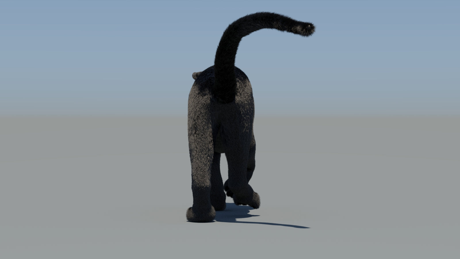 Animated Black Panther 3D Model Fur 360° view 6 frame 16