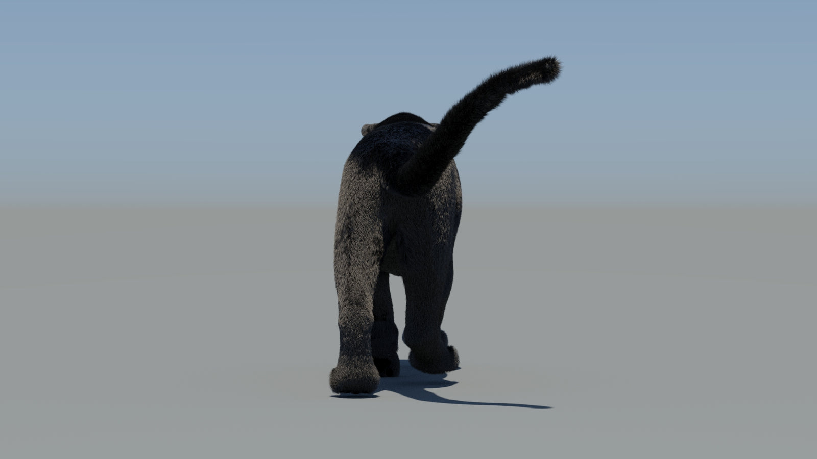 Animated Black Panther 3D Model Fur 360° view 6 frame 21