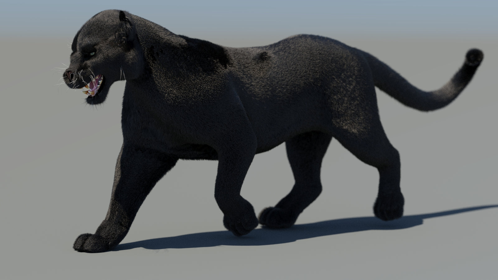 Animated Black Panther 3D Model Fur 360° view 4 frame 6