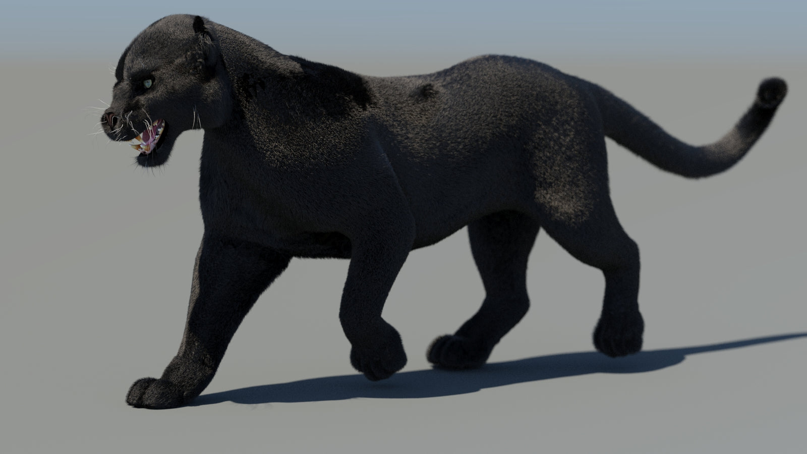 Animated Black Panther 3D Model Fur 360° view 4 frame 7