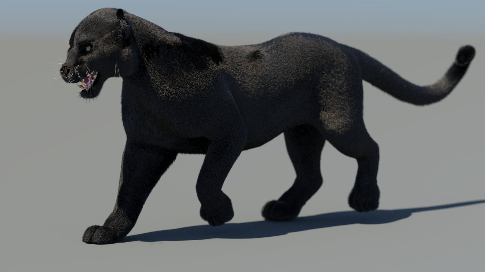 Animated Black Panther 3D Model Fur 360° view 4 frame 8