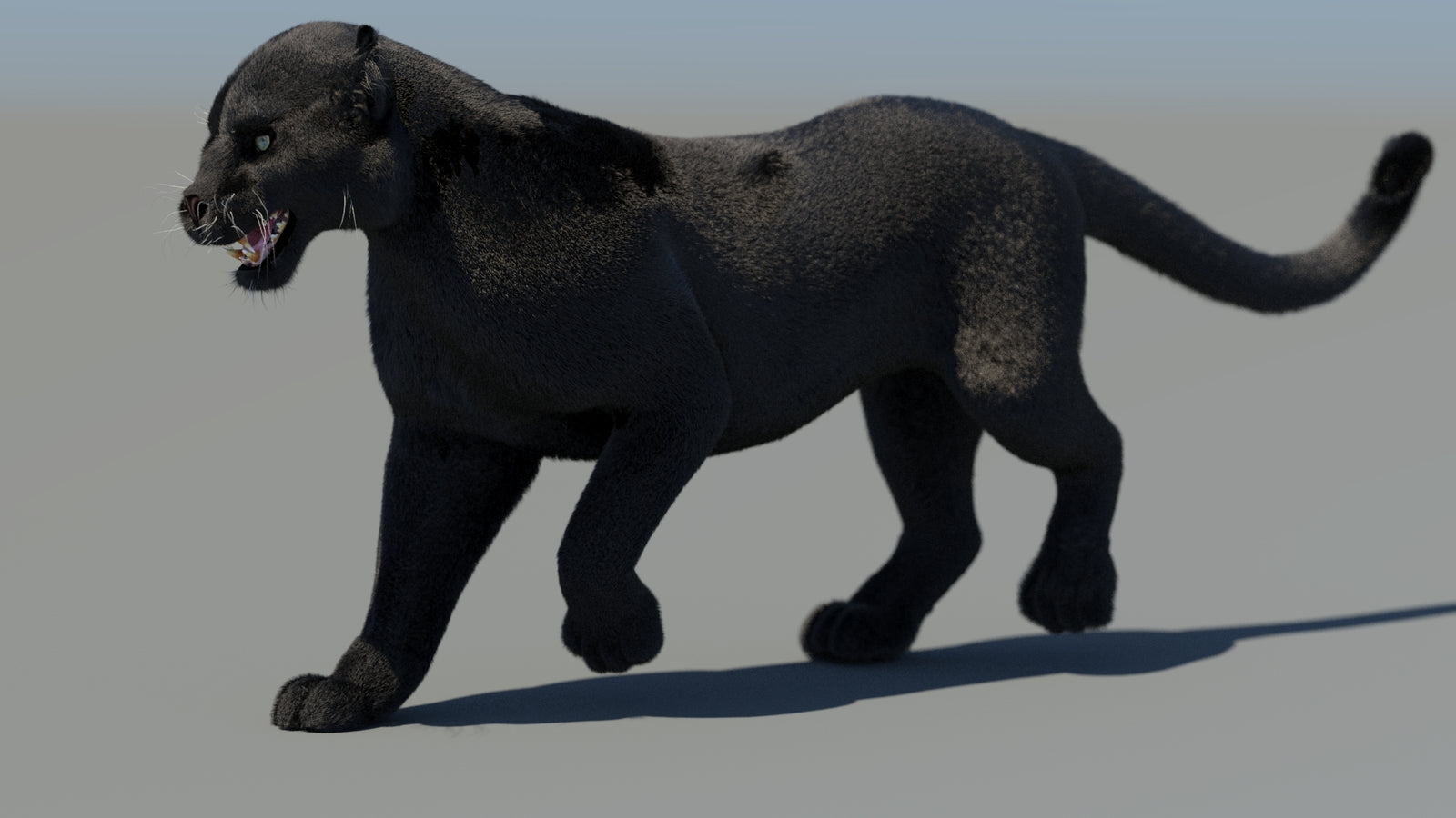 Animated Black Panther 3D Model Fur 360° view 4 frame 9