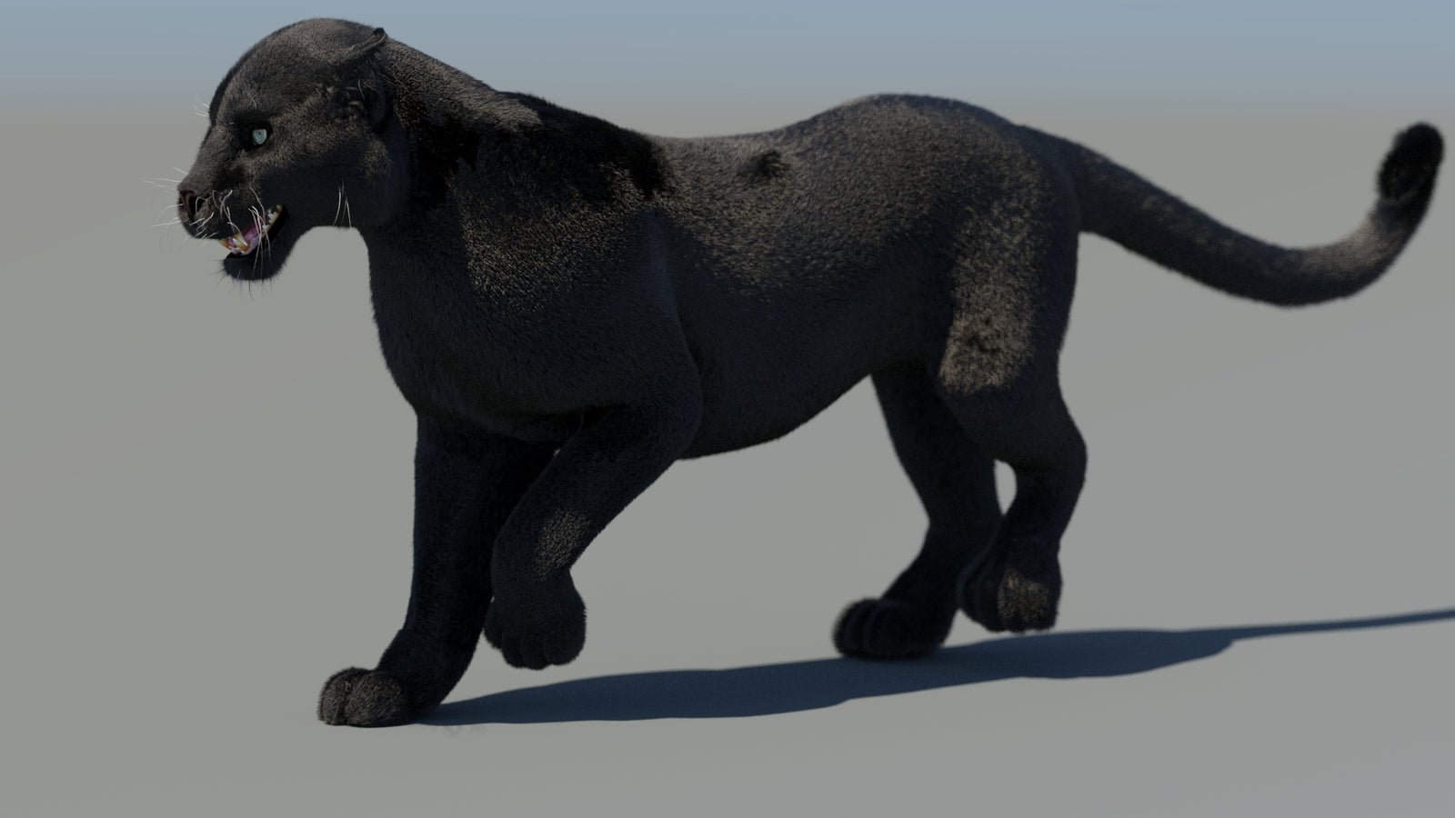 Animated Black Panther 3D Model Fur 360° view 4 frame 11