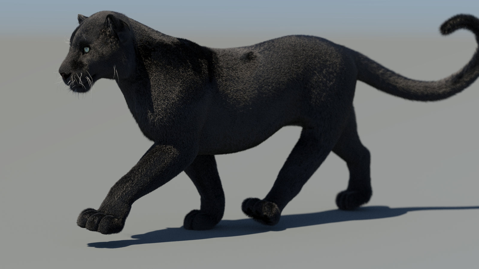 Animated Black Panther 3D Model Fur 360° view 4 frame 22