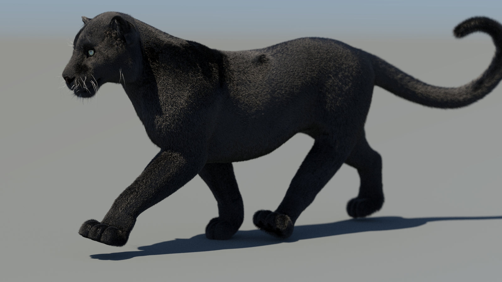 Animated Black Panther 3D Model Fur 360° view 4 frame 23
