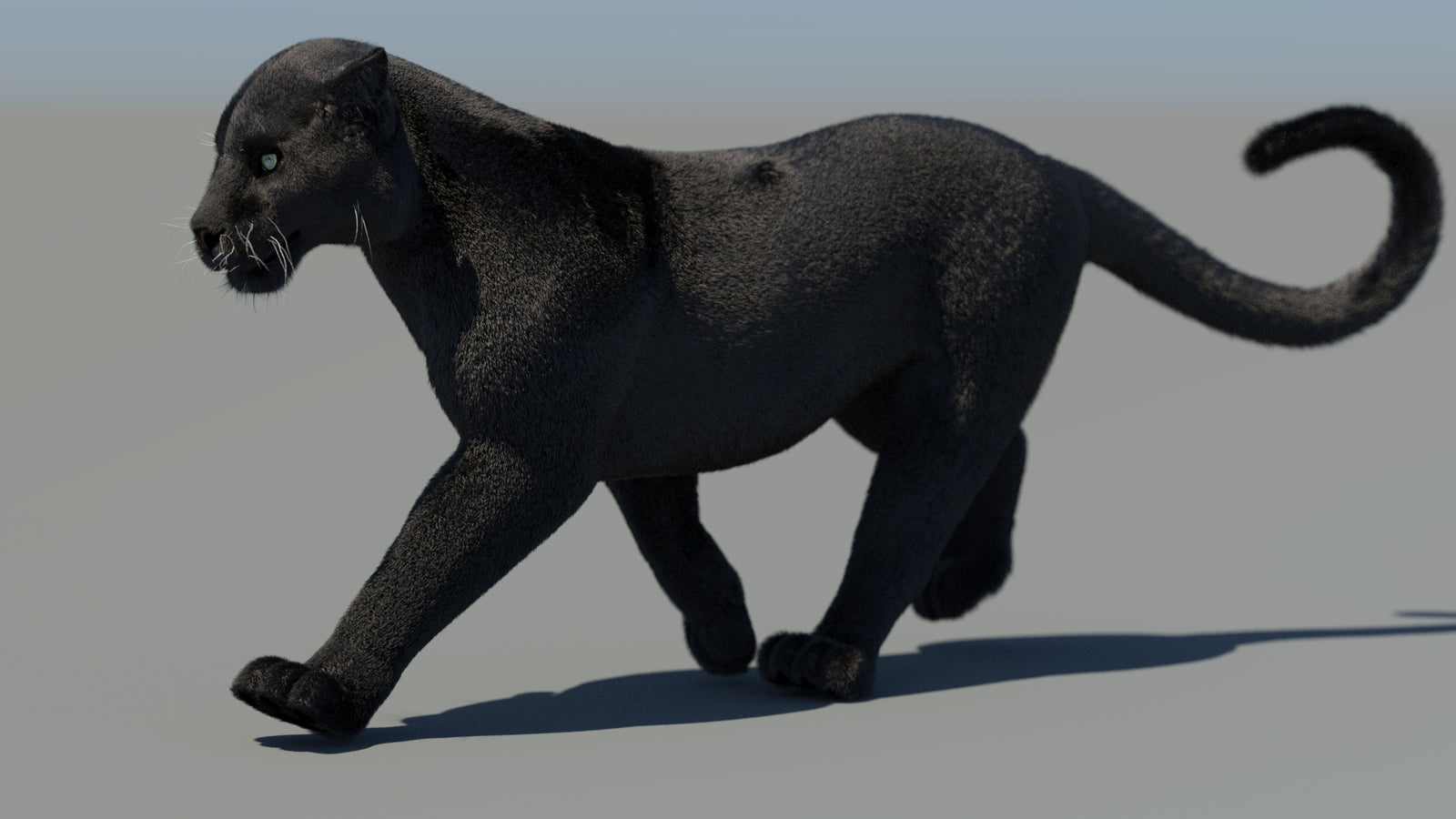 Animated Black Panther 3D Model Fur 360° view 4 frame 27