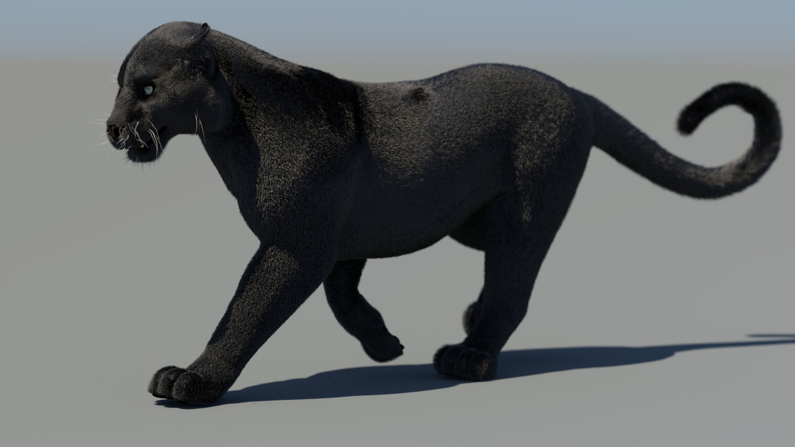 Animated Black Panther 3D Model Fur 360° view 4 frame 29