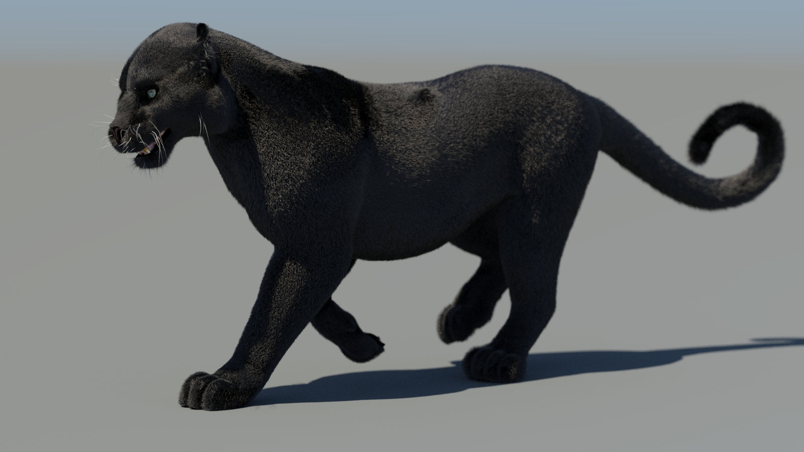 Animated Black Panther 3D Model Fur 360° view 4 frame 31