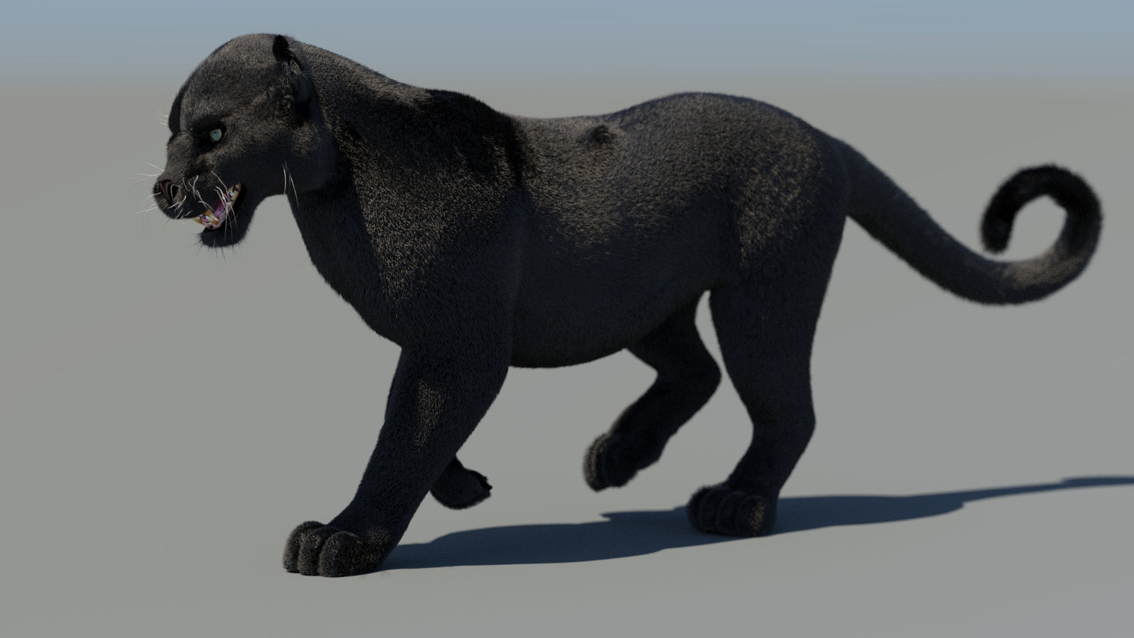 Animated Black Panther 3D Model Fur 360° view 4 frame 33