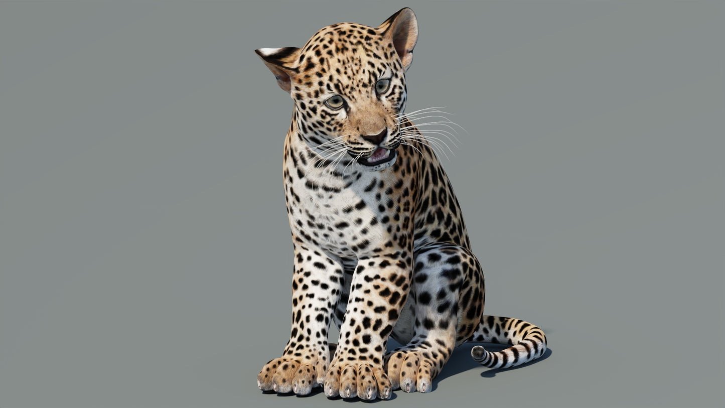 Rigged Leopard Cub 3D Model