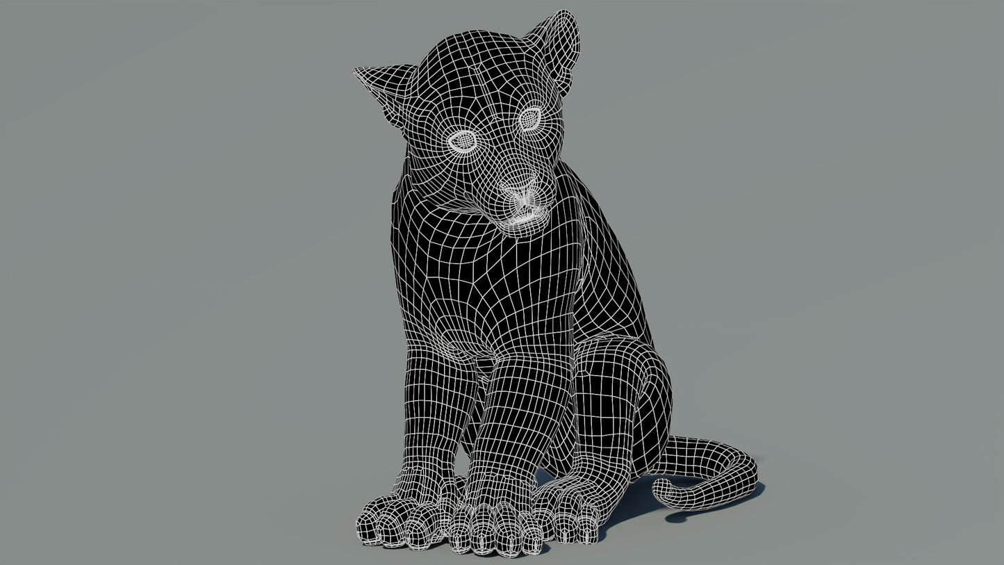 Rigged Leopard Cub 3D Model