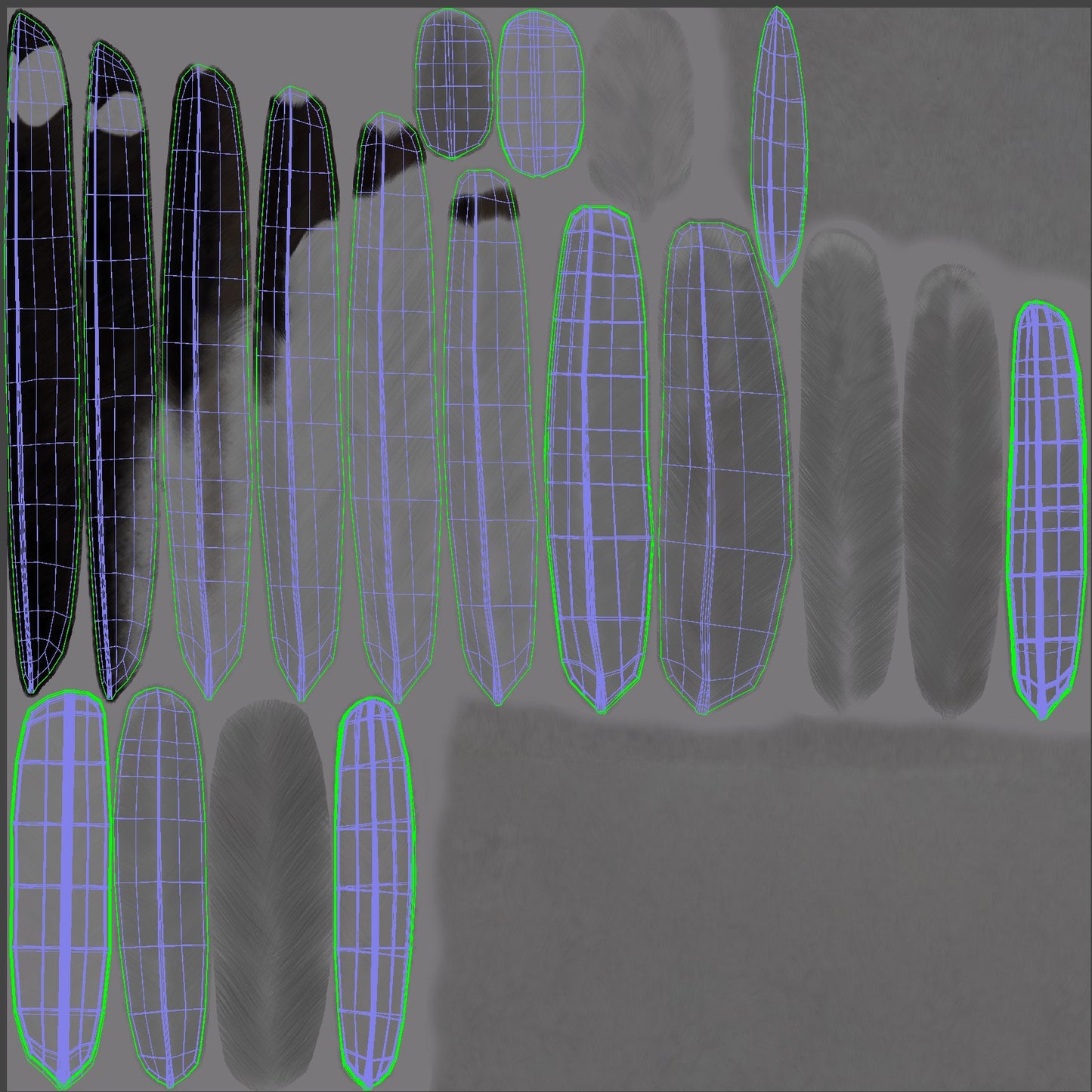 Seagull 3D Model Feathers UVs