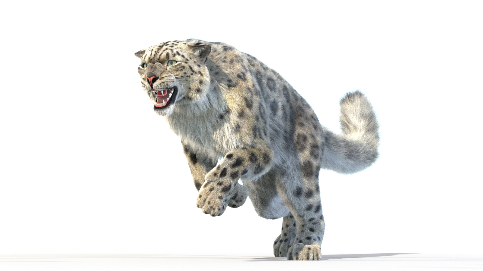 Animated Snow Leopard 3D Model Fur 360° view 3 frame 14