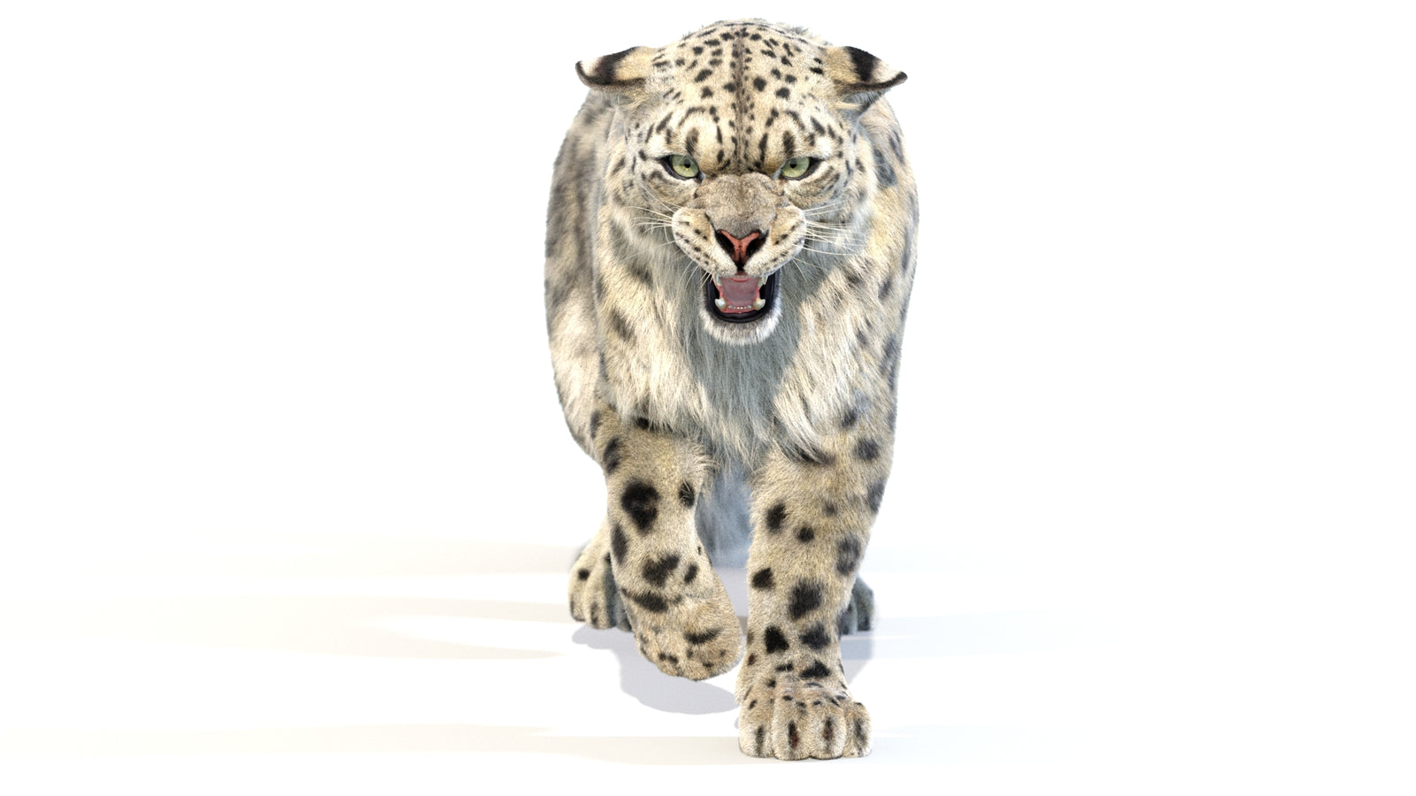 Animated Snow Leopard 3D Model Fur 360° view 2 frame 14