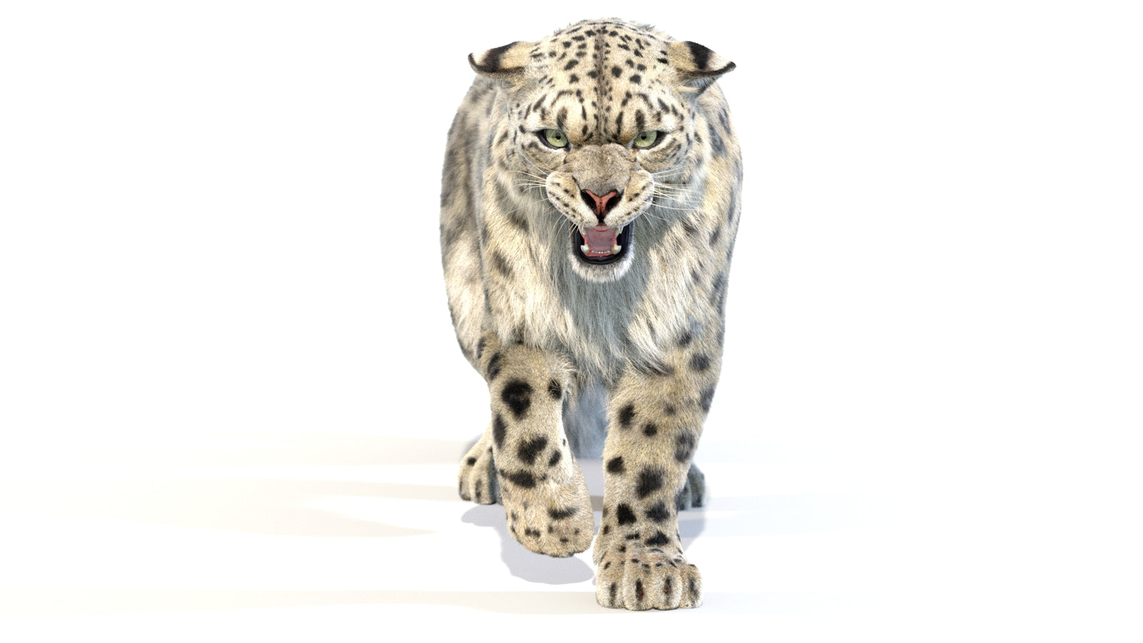 Animated Snow Leopard 3D Model Fur 360° view 2 frame 15