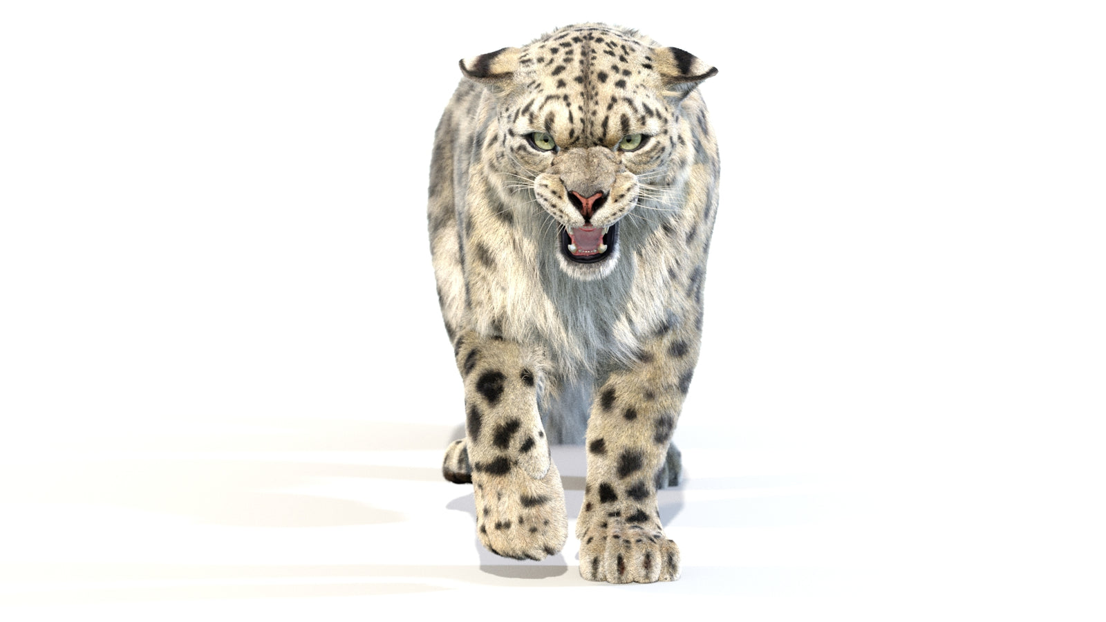 Animated Snow Leopard 3D Model Fur 360° view 2 frame 17