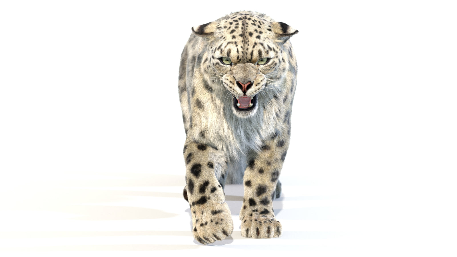 Animated Snow Leopard 3D Model Fur 360° view 2 frame 19