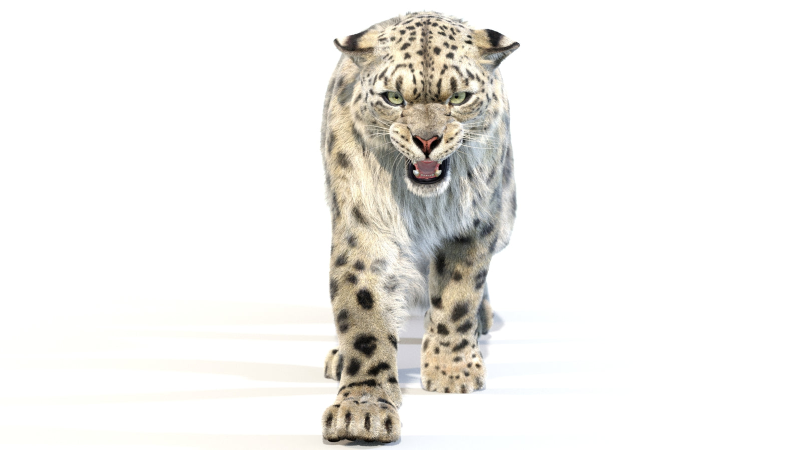 Animated Snow Leopard 3D Model Fur 360° view 2 frame 27