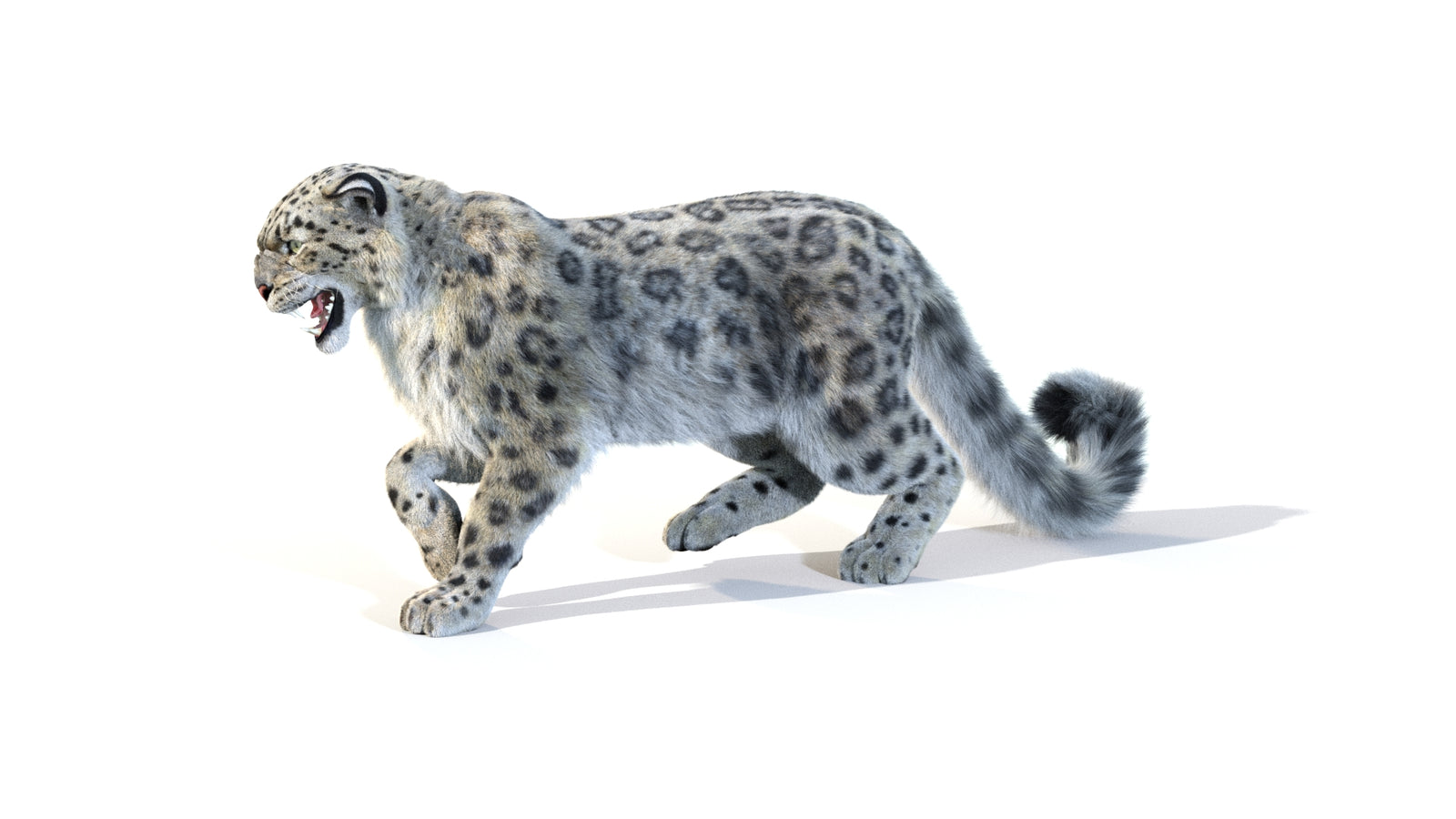 Animated Snow Leopard 3D Model Fur 360° view 1 frame 3