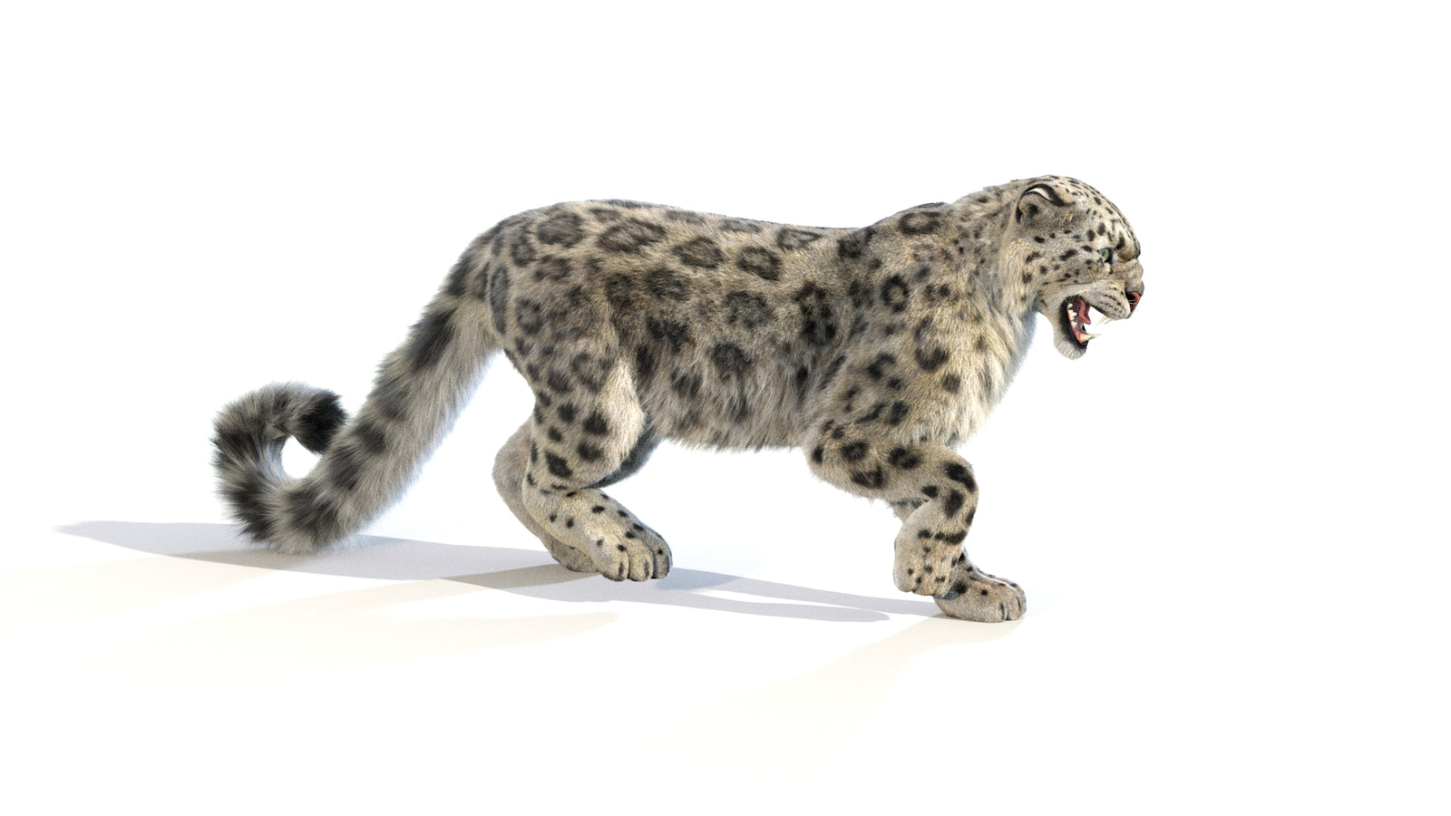Animated Snow Leopard 3D Model Fur 360° view 1 frame 15