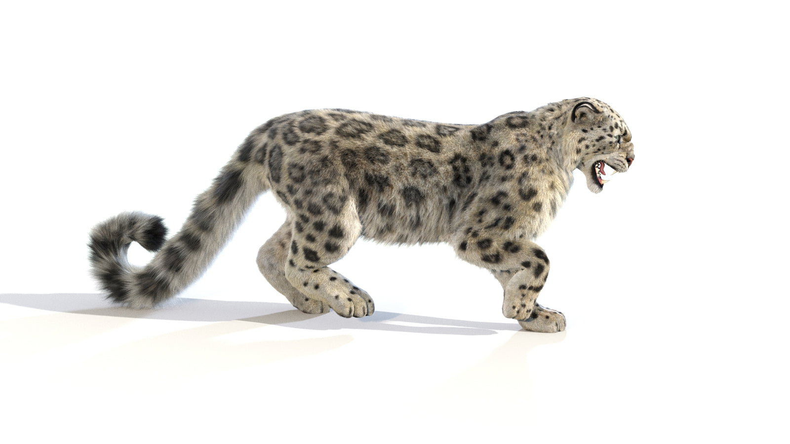 Animated Snow Leopard 3D Model Fur 360° view 1 frame 16