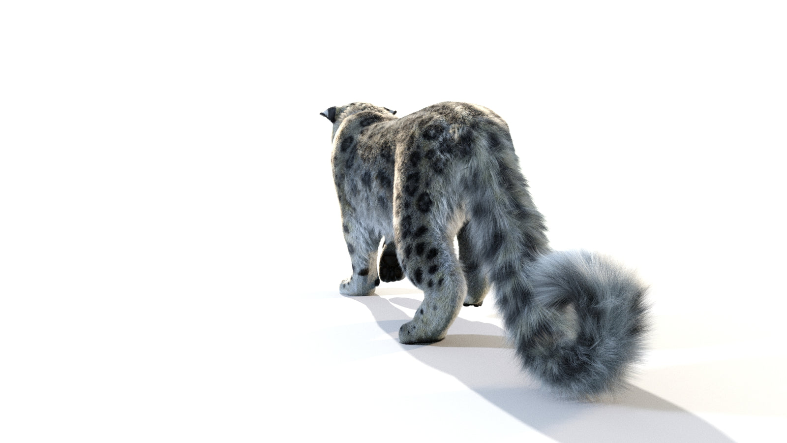 Animated Snow Leopard 3D Model Fur 360° view 1 frame 28