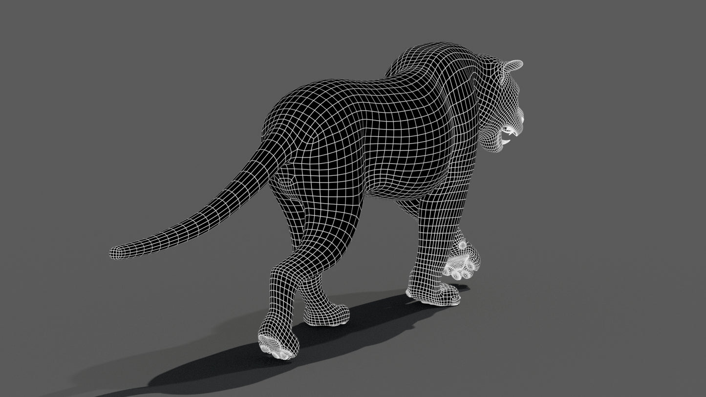 Tiger 3D model back view wireframe with subdivision level 1
