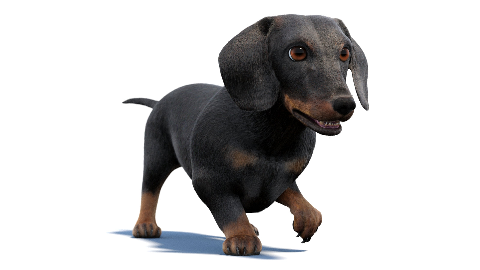 검은색 닥스훈트 강아지 애니메이션 3D 모델 모피 360° view 2 frame 9