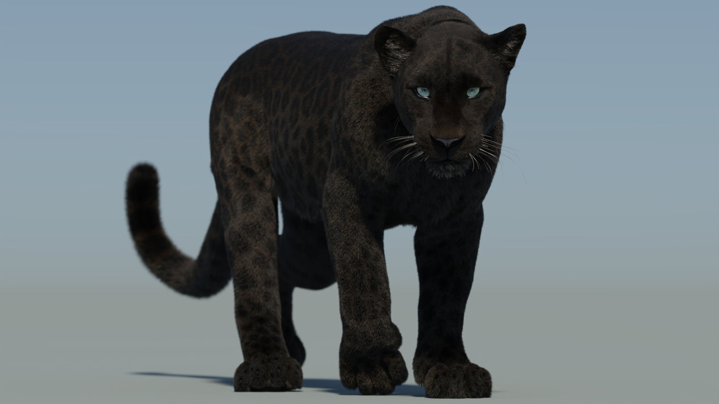 Animated Black Panther 3D Model with Fur