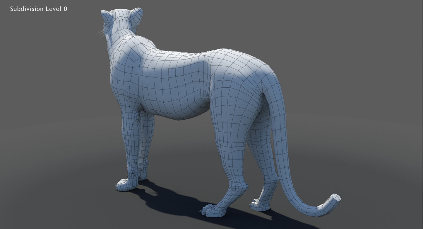 cheetah 3D model wureframe view