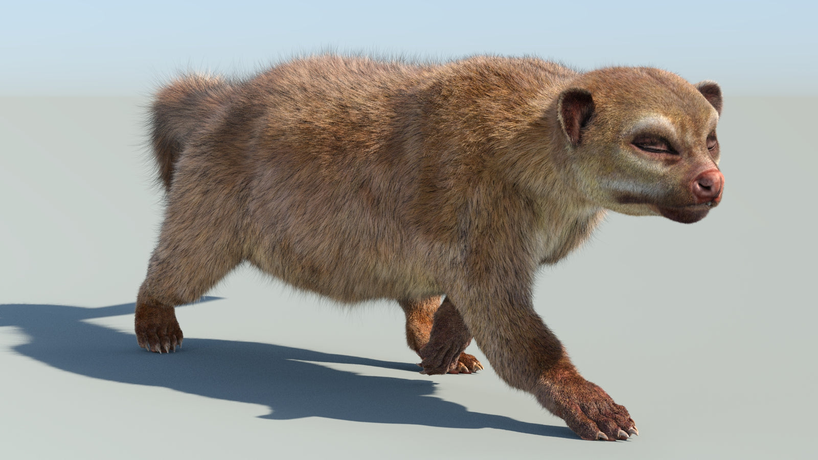 Realistic Kinkajou 3D Model Animated Fur 360° view 6 frame 18